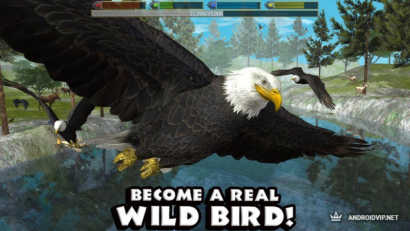 скачать игру Ultimate Bird Simulator на андроид - фото 4