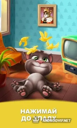 Мой говорящий Том фото 2