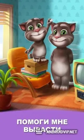 Мой говорящий Том фото 3