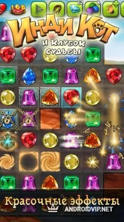 Инди Кот фото 2