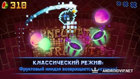 Fruit Ninja фото 2