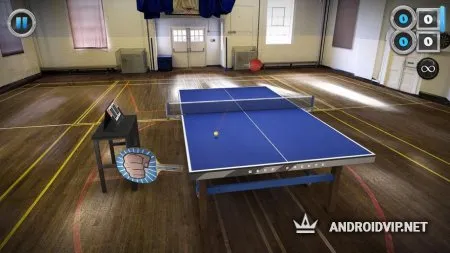 Table Tennis Touch фото 2