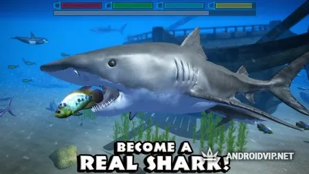 Ultimate Shark Simulator фото