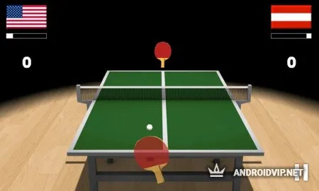 Virtual Table Tennis 3D фото
