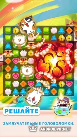 Fancy Cats фото 2