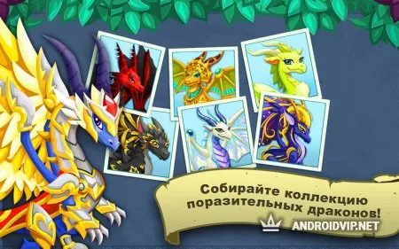 История драконов. На островах фото 2