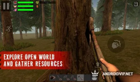 The Survivor: Rusty Forest фото 2