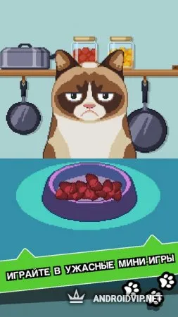 Сердитый Котик: ужасная игра фото