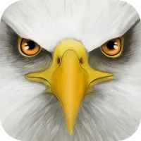 Ultimate Bird Simulator