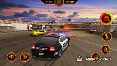 Полицейская погоня фото 2