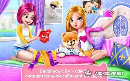 Бу - Самая милая собачка! фото