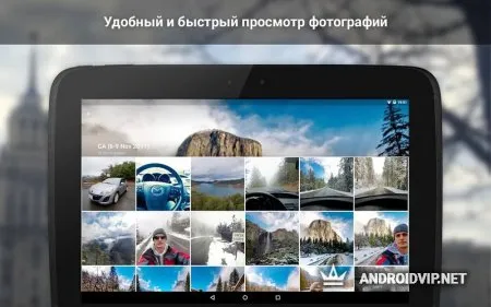 ВКонтакте Amberfog фото