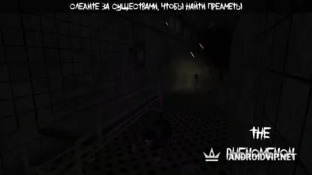 The Phenomenon фото