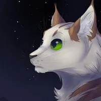 Послание Звёзд