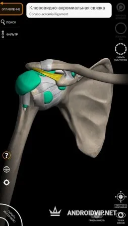 Анатомия – 3D Атлас фото 2