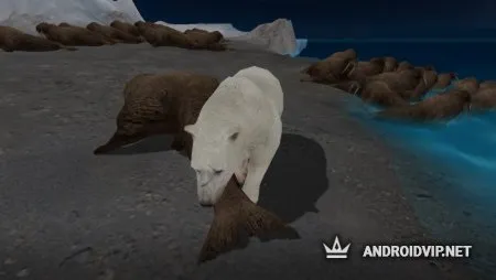 Wolf Online 2 фото 4