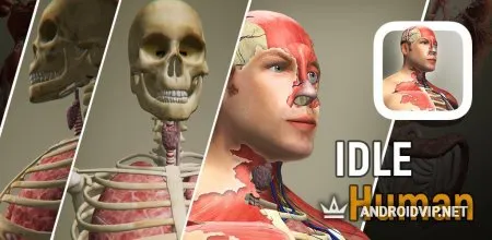 Idle Human фото