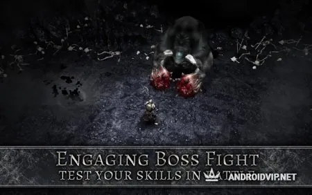 AnimA ARPG (2020) фото 2