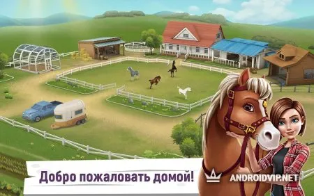 Истории о лошадях фото 2