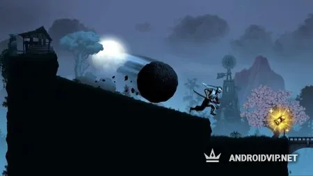 Воин ниндзя: легенда теневых файтингов фото