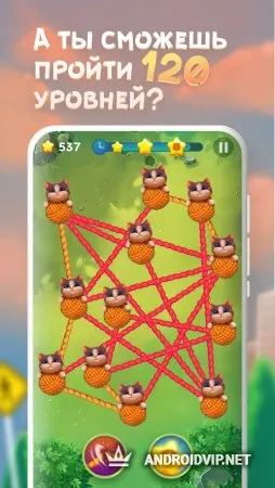 Tangled Cats фото