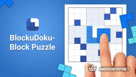 BlockuDoku фото 2