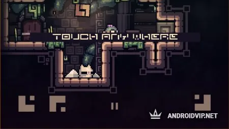 Reed Remastered фото 2