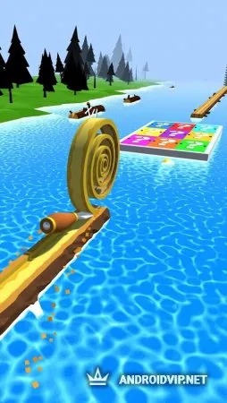 Spiral Roll фото