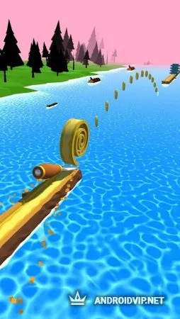 Spiral Roll фото 2