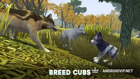 Wolf Tales - Home &amp; Heart фото 5