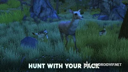 Wolf Tales - Home &amp; Heart фото 4