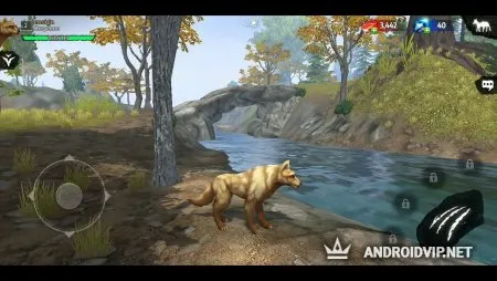 Wolf Tales - Home &amp; Heart фото 2