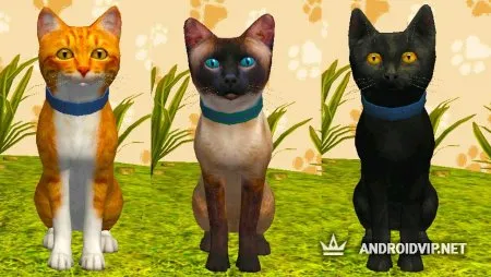 Симулятор Кота и Кошки фото