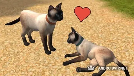 Симулятор Кота и Кошки фото 3