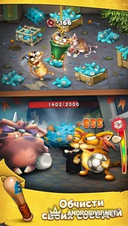 Коты: дворовые разборки фото 2