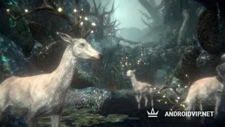 Pascal's Wager фото