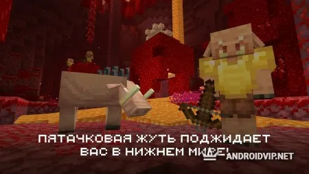 Minecraft (Майнкрафт) фото 2