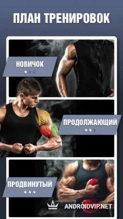 Тренировки для рук фото