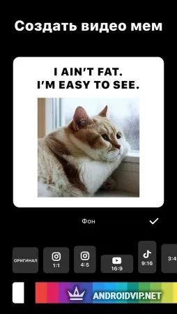 InShot (Иншот) фото