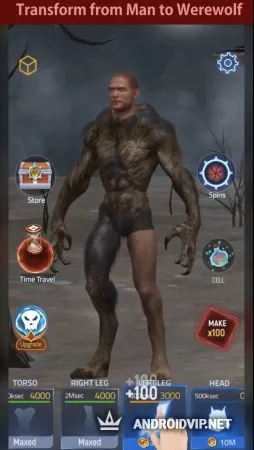 Idle Transformation фото