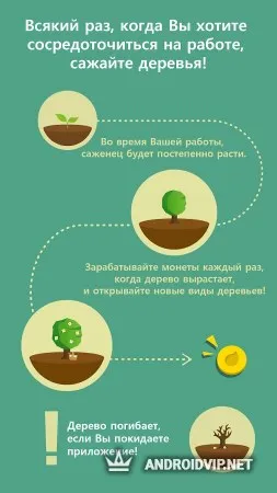 Forest: Будь сосредоточенным фото 3