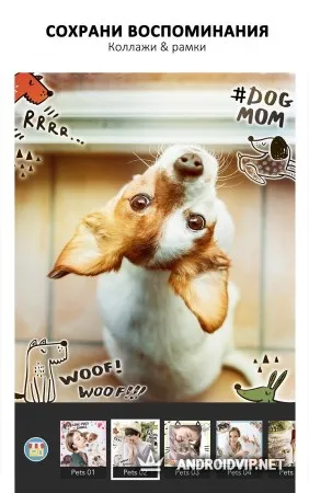 YouCam Perfect- фоторедактор &amp; селфи-камера фото 2