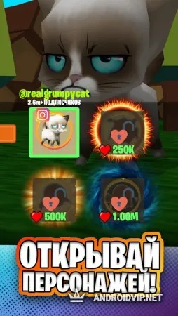 Simbachka Run фото