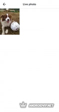 TikTok Wall Picture фото 2