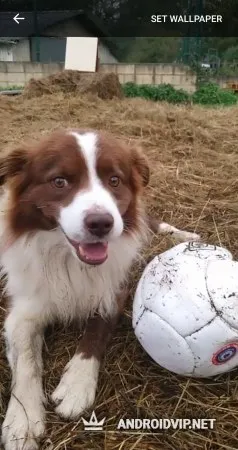 TikTok Wall Picture фото 3