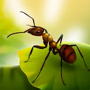 Little Ant Colony - Idle Игра