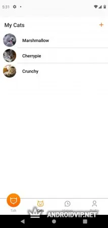MeowTalk фото 3