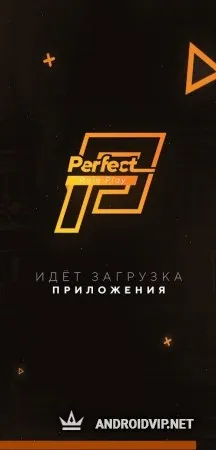 PERFECT RP Mobile | ГТА РОССИЯ CRMP фото