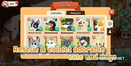 Hellopet House фото 3