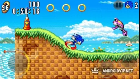 Sonic Advance фото